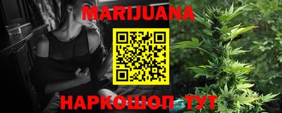 шишки Ставрополь