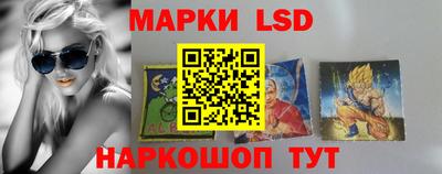 шишки Ставрополь