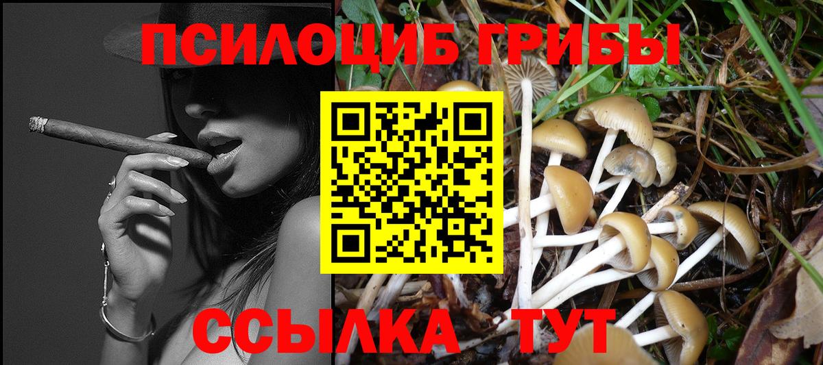 Галлюциногенные грибы Cubensis Новочеркасск